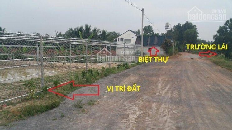 Chính Chủ Bán Nhanh đất Trung Lập Hạ - Củ Chi, 4400m2 Mt Kênh Quyết Thắng, đường Nhựa Thông Suốt ô Tô Quay đầu 4