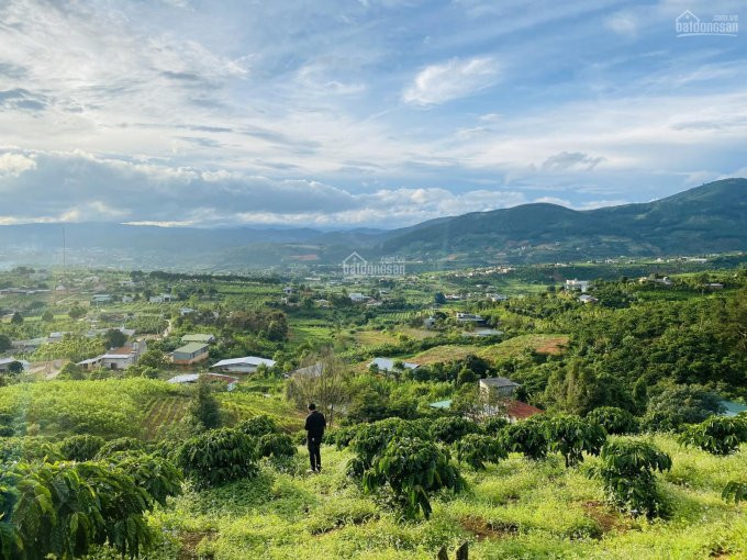 Chính Chủ Bán Nhanh đất Ven Cách Tt đà Lạt 27 Cây Số Có Suối Chảy Róc Rách Và View Cực Chất Như Hình Chỉ Từ 850tr 4