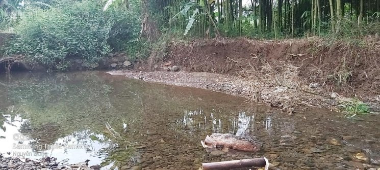 Chính Chủ Bán Nhanh Gấp 1400m2 Full đất Thổ Cư Cao Phong, Hòa Bình Giá 550tr 2