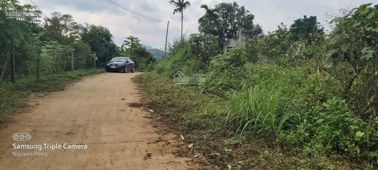 Chính Chủ Bán Nhanh Gấp 1400m2 Full đất Thổ Cư Cao Phong, Hòa Bình Giá 550tr 3