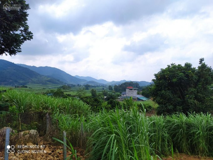 Chính Chủ Bán Nhanh Gấp 3057m2 Full Thổ Cư, View Cực đẹp, Tại Xuân Phong, Cao Phong, Hòa Bình 1