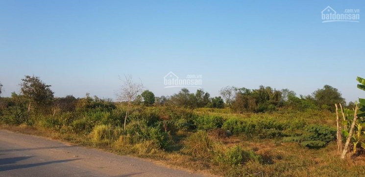 Chính Chủ Bán Nhanh Gấp đất Mặt Tiền đường Tam đa, Và Mặt Sông Lớn Q9 2