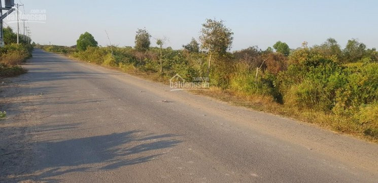 Chính Chủ Bán Nhanh Gấp đất Mặt Tiền đường Tam đa, Và Mặt Sông Lớn Q9 5