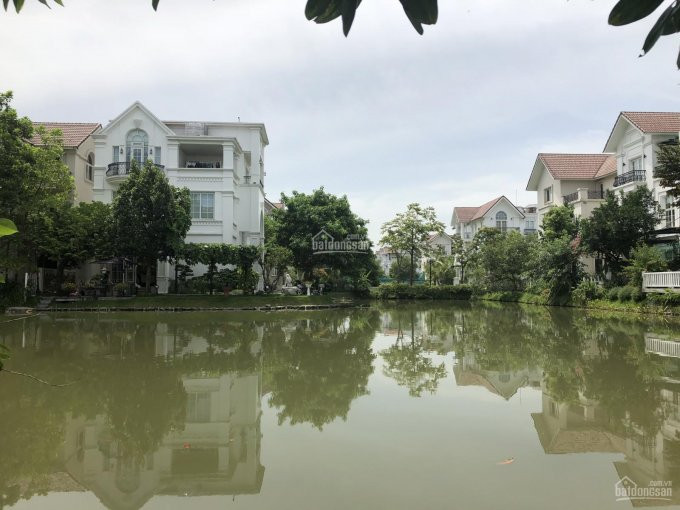 Chính Chủ Bán Nhanh Gấp Lô Hoa Phượng 4, Gần Công Viên Trung Tâm Vinhomes Riverside, 324m2, 225 Tỷ 0904 668 596 1