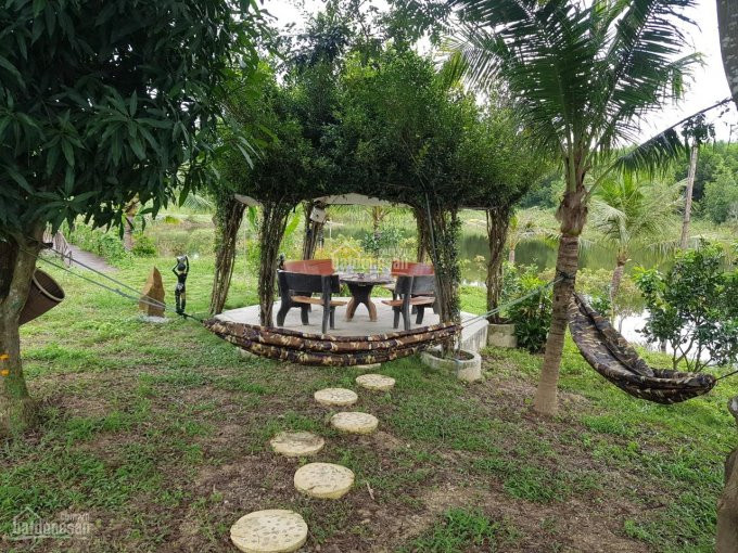 Chính Chủ Bán Nhanh Khu Nhà Vườn Nghỉ Dưỡng Sinh Thái View Hồ Suối Rao Siêu đẹp, Yên Tĩnh Có đảo Tự Nhiên 8