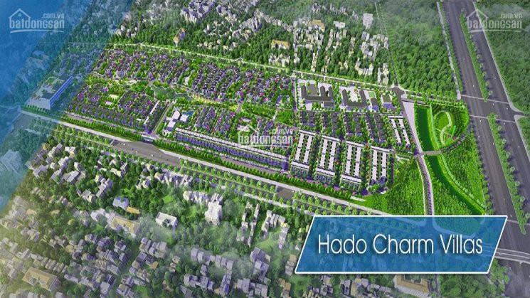 Chính Chủ Bán Nhanh Liền Kề Biệt Thự Hà đô Charm Villas 100m2 Suất Ngoại Giao, Lh 0946806888 3