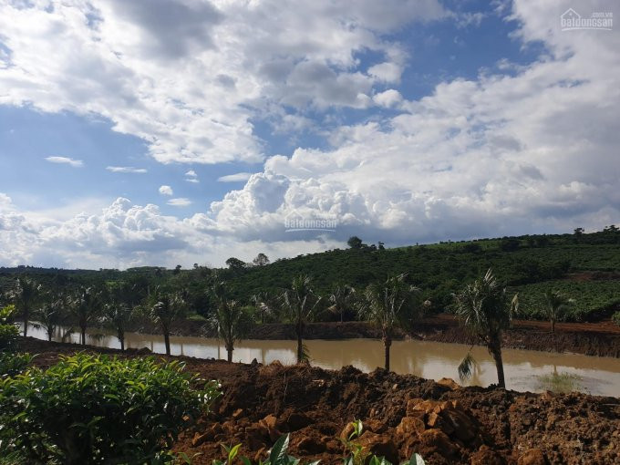 Chính Chủ Bán Nhanh Lô đất Vườn Chè Nghỉ Dưỡng, View Cực đẹp Có Thể Phân Lô Bán Nền 7