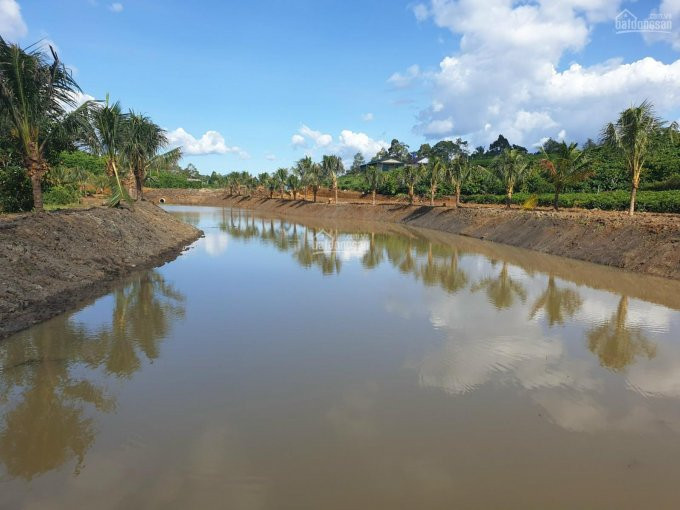 Chính Chủ Bán Nhanh Lô đất Vườn Chè Nghỉ Dưỡng, View Cực đẹp Có Thể Phân Lô Bán Nền 8