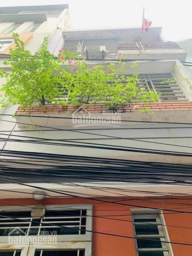 Chính Chủ Bán Nhanh Nhà 62m2 Mt 4,5m, Oto Vào Nhà Phố Thanh Nhàn, Nhỉnh 7 Tỷ 3