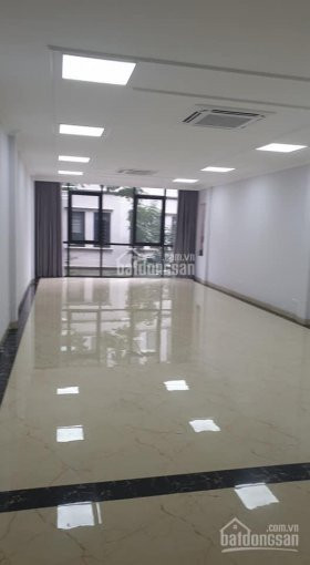 Chính Chủ Bán Nhanh Nhà "cực Hiếm" Mặt Phố Liễu Giai Diện Tíc 120m2 Mặt Tiền 56m, Giá 496 Tỷ 1