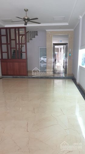 Chính Chủ Bán Nhanh Nhà "cực Hiếm" Mặt Phố Liễu Giai Diện Tíc 120m2 Mặt Tiền 56m, Giá 496 Tỷ 4