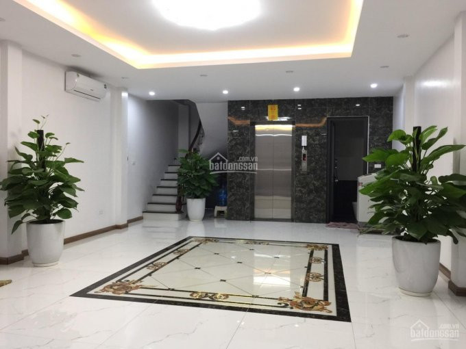 Chính Chủ Bán Nhanh Nhà Phân Lô đội Cấn, Vĩnh Phúc, Ba đình 102 Tỷ, 55m2x6t Mới Tinh Cực đẹp, ôtô 7 Chỗ Vào Nhà 1
