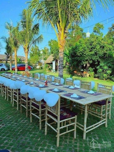 Chính Chủ Bán Nhanh Resort 1,2ha đã Hình Thành Kinh Doanh Khai Thác được Ngay, Thu Nhập 500tr/tháng, Hồ Tràm - Brvt 7