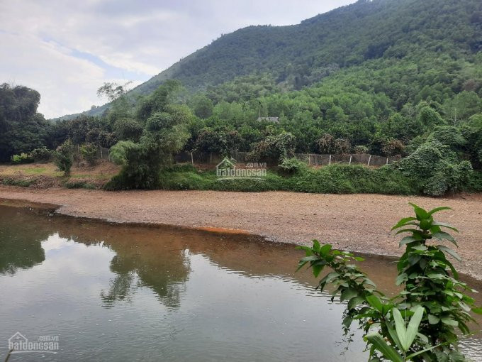 Chính Chủ Cần Bán 21ha(21000m2) đất Vườn Thổ Cư Bám Dọc Theo Sông Tuyệt đẹp  1