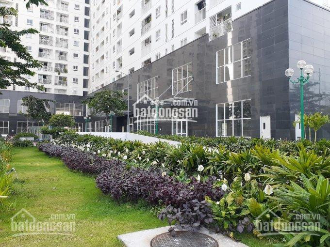 Chính Chủ Cần Bán Căn Hộ Tara Residence 81m2 2pn 2wc Giá 2tỷ3 Bao Rẻ Nhất Thị Trường 0702587707 3