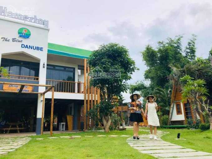 Chính Chủ Cần Bán Homestay Siêu đẹp ở Xuyên Mộc, Bà Rịa Vũng Tàu, Dt: 20000m2, Mrlong 0905819868 1