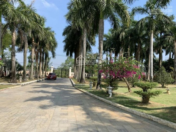 Chính Chủ Cần Bán Khu đất 7000m2 Mặt Tiền Long Thuận Q9 3