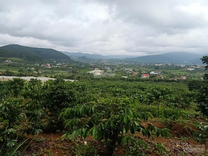 Chính Chủ Cần Bán Lô đất Xã Tà Nung, View Bao đẹp Nhìn Hết Mê Linh, Cách Coffee Mê Linh 509m 1