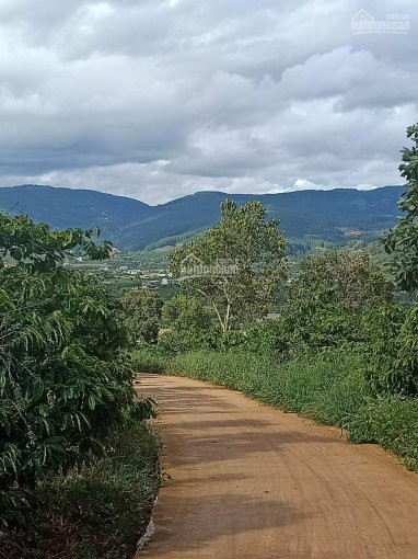 Chính Chủ Cần Bán Lô đất Xã Tà Nung, View Bao đẹp Nhìn Hết Mê Linh, Cách Coffee Mê Linh 509m 2