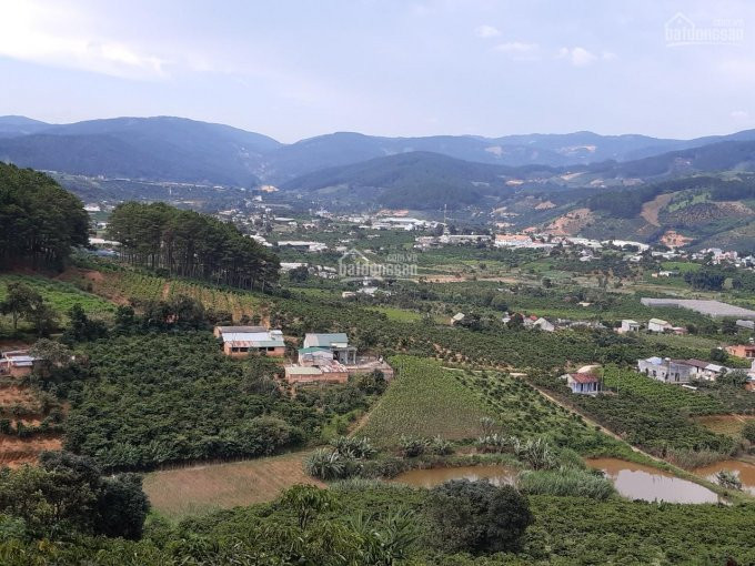 Chính Chủ Cần Bán Lô đất Xã Tà Nung, View Bao đẹp Nhìn Hết Mê Linh, Cách Coffee Mê Linh 509m 3