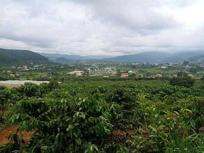 Chính Chủ Cần Bán Lô đất Xã Tà Nung, View Bao đẹp Nhìn Hết Mê Linh, Cách Coffee Mê Linh 509m 4