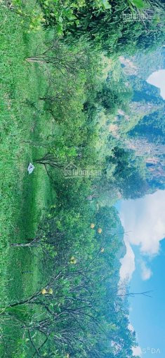 Chính Chủ Cần Bán Mảnh đất 5000m Tuyệt đẹp Có Ao Bám Suối Giá Chỉ Hơn Tỷ 4