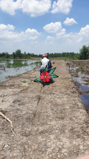 Chính Chủ Cần Bán Nhanh Mảnh đất Công Giá Rẻ Cho Nhà đầu Tư, Vị Trí Xã Phước Khánh Huyện Nhơn Trạch 2