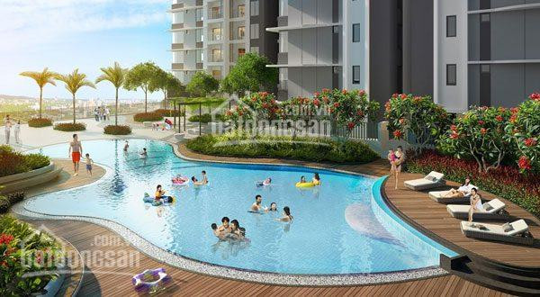 Chính Chủ Cần Cho Thuê Gấp Ch Eco Green Giá Rẻ Với 65 M2/ 12tr View đẹp Full Nt Lh Ms Dung 0916020270 4