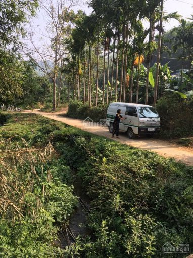 Chính Chủ Cần Tiền Bán đất Sổ đỏ Giá Rẻ Trung Minh - Gần Cầu Hòa Bình 3 Giá 1,4 Tỷ, 1224m2 Lh 0915275404 3