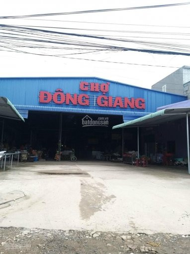 Chính Chủ Cần Tiền Bán Gấp Nhà Sổ Riêng 5m X 20m 3 Phòng Ngủ, đường Bê Tông (ngay Chợ đông Giang) 3