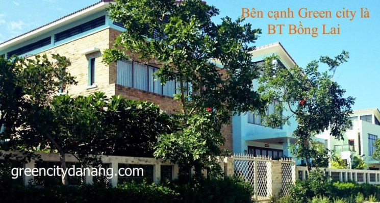 Chính Chủ Cần Tiền Cho Con đi Du Học Bán Gấp Lô đất Biệt Thự Ngay Trục đường Trường Sa - đà Nẵng 4