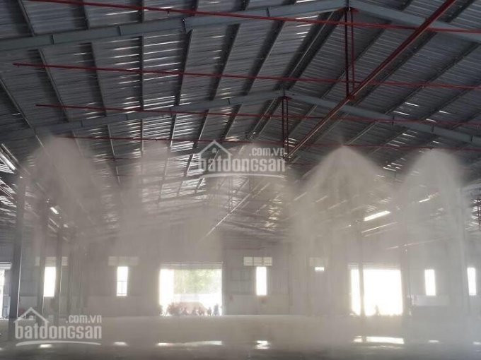 Chính Chủ Cho Thuê Nhanh 1100m2, Kho Tiêu Chuyển Quận Gò Vấp 3