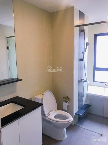 Chính Chủ Cho Thuê Nhanh Căn Hộ B2301, 3 Ngủ 154m2 Tại Cc Mulberry Lane Hà đông, Giá Từ 125tr/th Lh: 0936530388 6