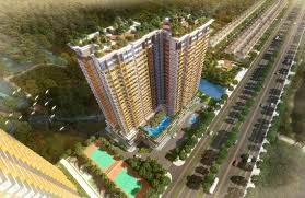 Chính Chủ Cho Thuê Nhanh Căn Hộ Sunrise Riverside 3pn Nhà Mới 100% Decocr Cực Cao ấp Ngay Q1 Vivo City Giá Siêu Rẻ 3