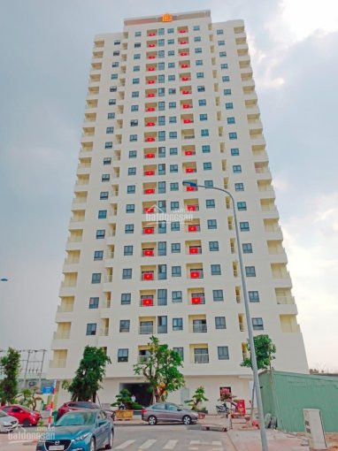 Chính Chủ Cho Thuê Nhanh Căn Hộ Tecco Tower Kế Vincom Dĩ An 5tr/tháng/2pn 0989337446 Zalo 1