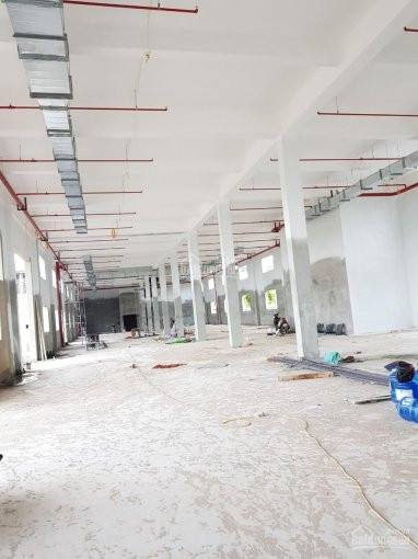 Chính Chủ Cho Thuê Nhanh Kho Xưởng 1300m2 Và Vp 400m2 X 3 Tầng Tại Cụm Cn Dương Liễu, Hoài đức 2