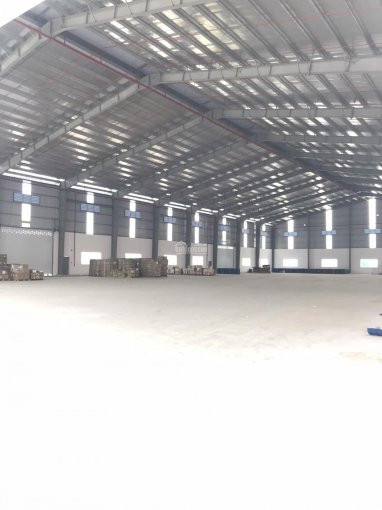 Chính Chủ Cho Thuê Nhanh Kho Xưởng 5000 M2 Tại Kcn Hải Sơn - Long An, Giá 237 Triệu/tháng, Xưởng Mới Vận Hành Ngay 2