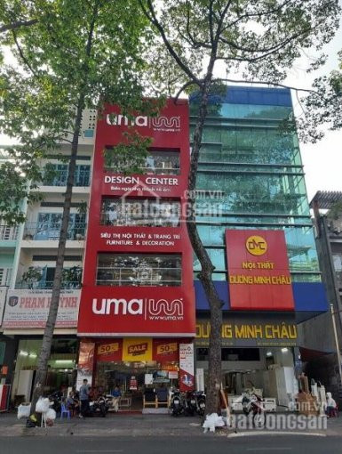 Chính Chủ Cho Thuê Nhanh Mt Nguyễn Công Trứ Quận 1, Dt 65x20m đoạn Ngân Hàng, Giá Chỉ 80tr/tháng 1