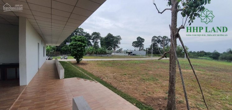 Chính Chủ Cho Thuê Nhanh Nhà Vườn Kiểu Mái Thái 300m2 Tại Cù Lao Phố, Phường Hiệp Hoà, Thành Phố Biên Hoà 5