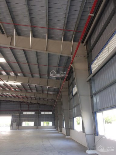 Chính Chủ Cho Thuê Nhanh Nhà Xưởng 5000m2 Tại Tân Uyên - Bình Dương 2