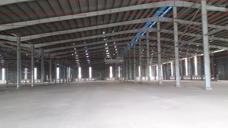 Chính Chủ Cho Thuê Nhanh Nhà Xưởng Trong Kcn đức Hòa, Long An, Dt: 10000m2, Giá 400tr/tháng Lh: 0908561228 2