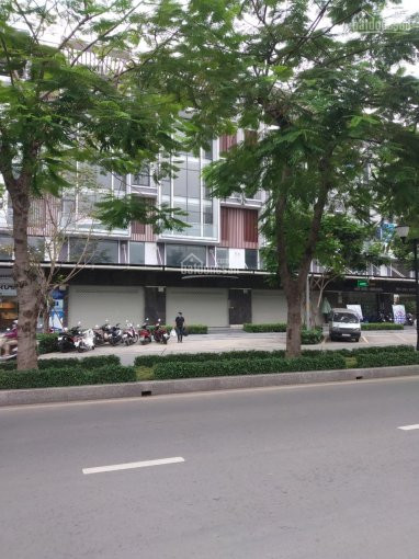 Chính Chủ Cho Thuê Nhanh Shophouse Nguyễn Thị Nhung 7x20m, Vị Trí đắc địa Full Nội Thất Cao Cấp, Giá Chỉ 50tr/tháng 2