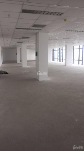 Chính Chủ Cho Thuê Nhanh Văn Phòng Detech Nguyễn Phong Sắc 80m2, 150m2, 450m2, 1100m2 Giá 180 Nghìn/m2/tháng 6