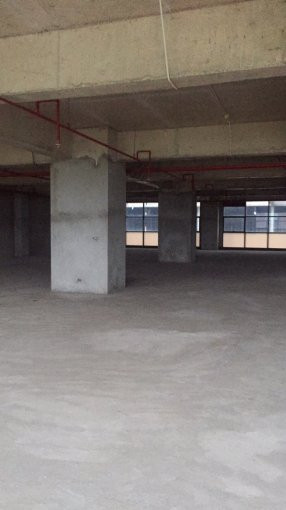 Chính Chủ Cho Thuê Nhanh Văn Phòng Phố Xã đàn, Quận đống đa, 65m2, 100m2, 320m, 500m2, Giá 140000vnđ/m2/th 7