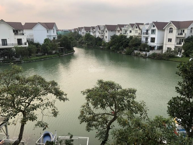 Chính Chủ Gửi Bán Căn Biệt Thự đông Nam, Khu Hoa Sữa View Sông Rộng Nhất Vinhomes Riverside 2