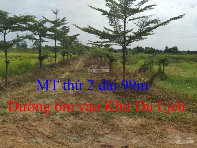 Chính Chủ Kẹt Tiền Gửi Bán Gấp Lô đất 3 Mặt Tiền đường Nguyễn Thị Nà, 6738 M2, Gần Sông Sài Gòn 200 1