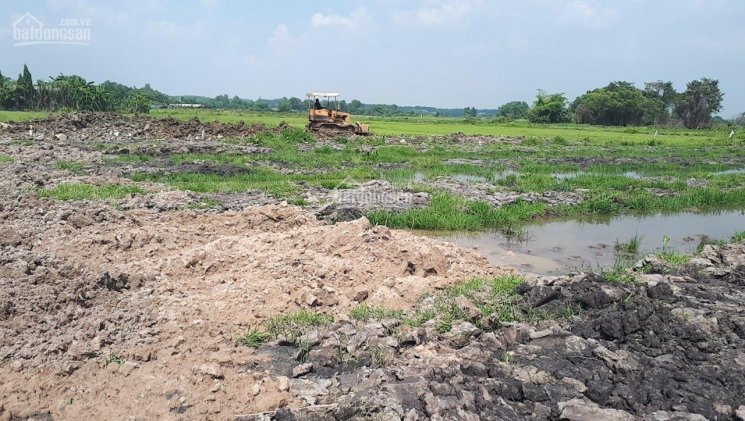 Chính Chủ Kẹt Tiền Gửi Bán Gấp Lô đất 3 Mặt Tiền đường Nguyễn Thị Nà, 6738 M2, Gần Sông Sài Gòn 200 5