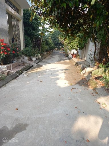 Chính Chủ Nhờ Bán 100m2 đất Tại Phân Lô Văn Cú, An đồng đất 2 Mặt Ngõ đường đều Rộng 5m 4