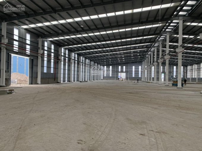 Cho Thuê Kho Long An, Cho Thuê Xưởng Long An, Dt: 15000m2, Lh 0949187168 (kho Chính Chủ Mới Xây) 2