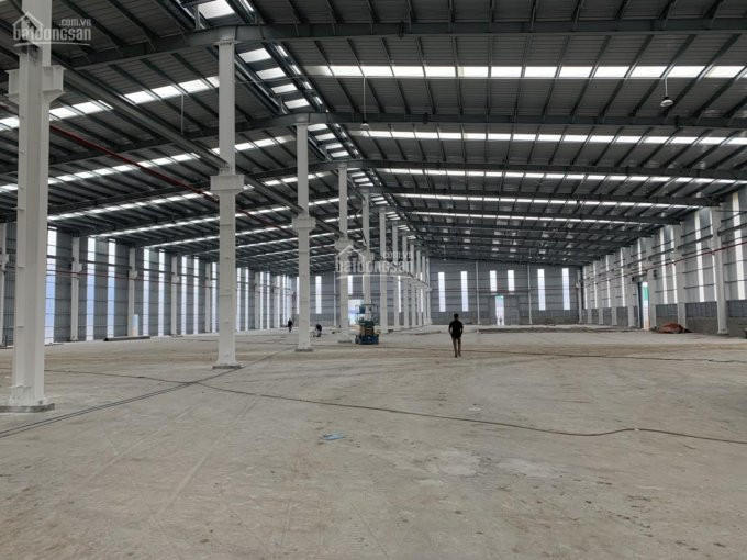 Cho Thuê Kho Xưởng Kcn Phố Nối A, Hưng Yên, Dt 21000m2, Lh 0949187168 (kho Chính Chủ Mới Xây) 2